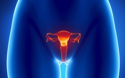 Vaginite: Tudo o que você precisa saber!