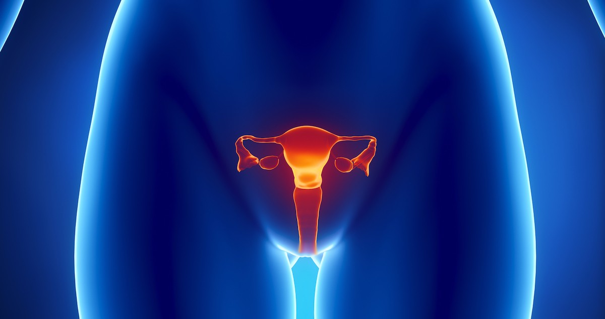 Vaginite: Tudo o que você precisa saber!
