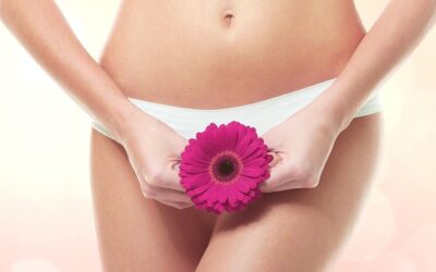 Lábios vaginais: qual o seu tipo de vagina?