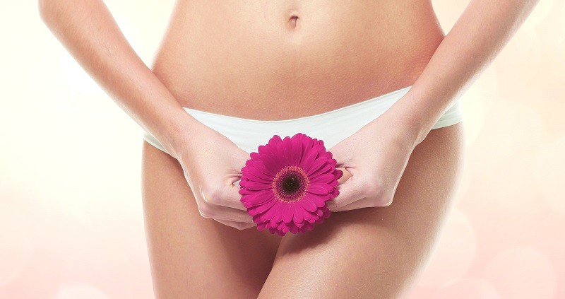 Lábios vaginais: qual o seu tipo de vagina?