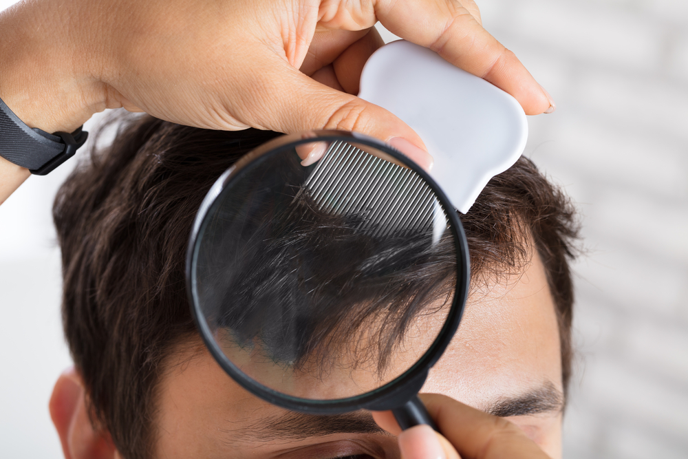 Bulbo capilar: entendendo a estrutura do seu cabelo